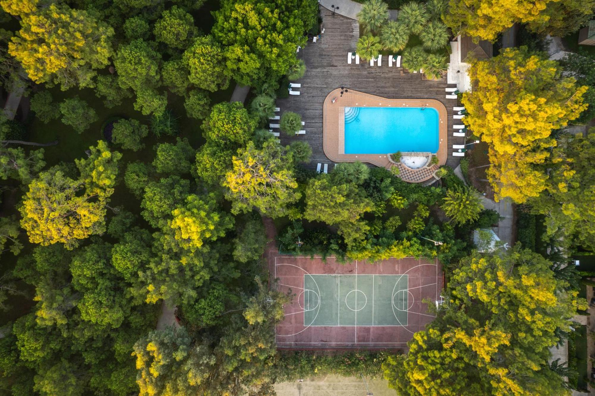 Balmy Foresta ベルディビ エクステリア 写真