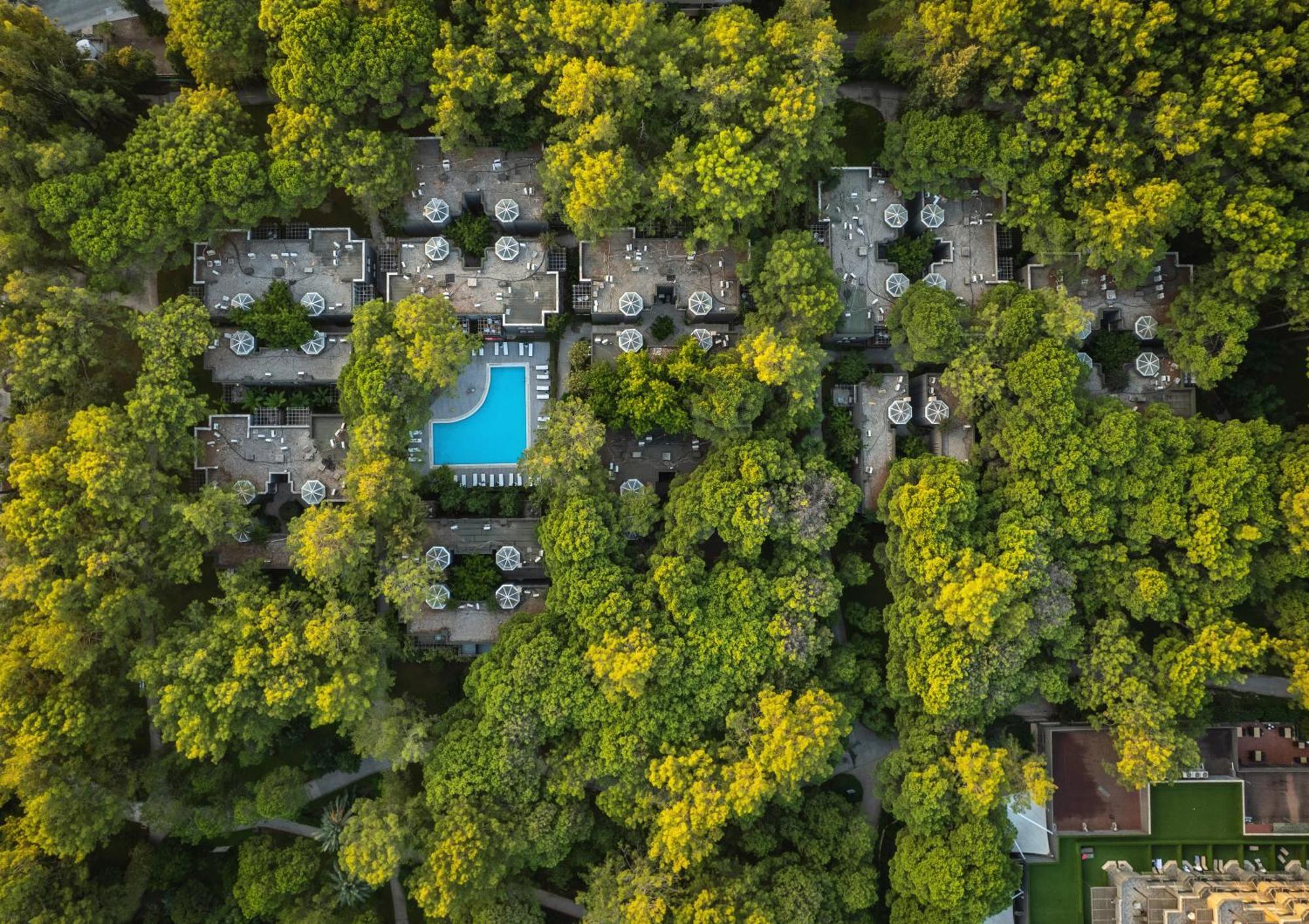 Balmy Foresta ベルディビ エクステリア 写真